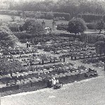 Jardinerie de Beloeil - 1972 - Plantes et arbustes