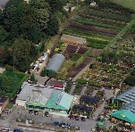 Jardinerie de Beloeil - 2000 - Plantes et arbustes